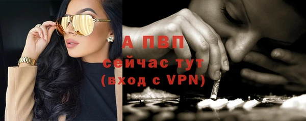 гашик Магас