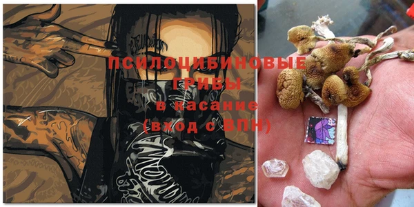 бошки Липки