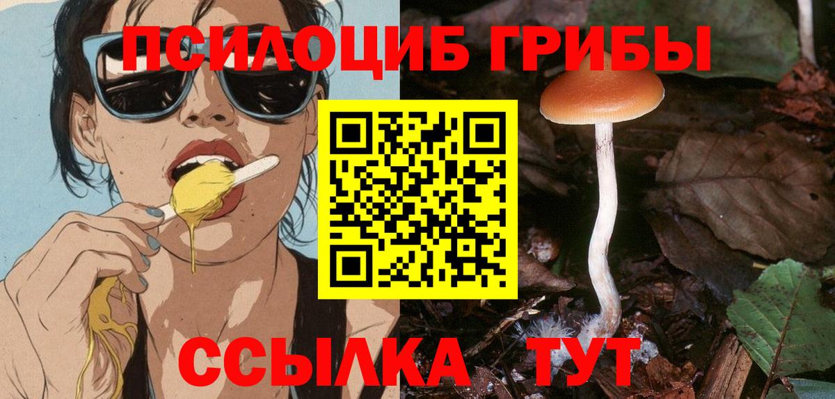 Псилоцибиновые грибы прущие грибы  Вход с VPN  Хасавюрт 