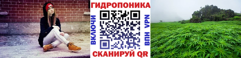 blacksprut   Хасавюрт  МАРИХУАНА LSD WEED  где продают  